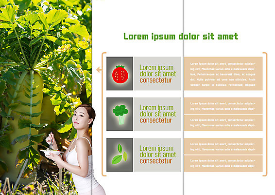 PSD 템플릿 표지디자인 북디자인 출판디자인 여자 내지 리플렛 다이어트 북커버 3단접지 방울토마토 한명 팜플렛 상반신 20대 성인 옆모습 샐러드 한국인 브로콜리 무 유기농 이미지템플릿 1 웰빙 음식 뷰포인트 토마토 채소 뿌리채소 건강 사람 동양인 청년 파일형식