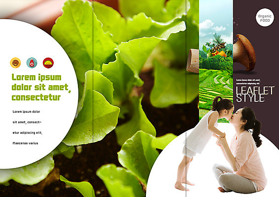 PSD 템플릿 표지디자인 북디자인 출판디자인 여자 표지 딸 어린이 리플렛 북커버 3단접지 엄마 키스 서기 앉기 팜플렛 성인 두명 옆모습 30대 버섯 한국인 상추 유기농 이미지템플릿 웰빙 뷰포인트 채소 가족 모션 사람 동양인 장년 애정표현 파일형식