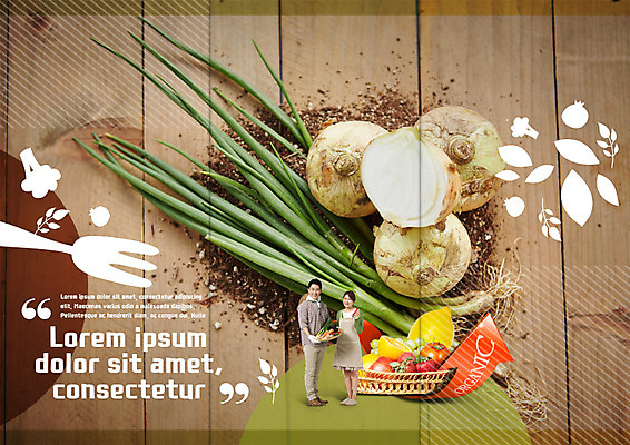 전신 PSD 템플릿 표지디자인 북디자인 부부 출판디자인 여자 남자 내지 리플렛 40대 포크 토마토 북커버 3단접지 양파 서기 팜플렛 성인 두명 바구니 흙 한국인 레몬 유기농 대파 이미지템플릿 식기 웰빙 커플 중년 채소 과일 모션 사람 동양인 파 파일형식