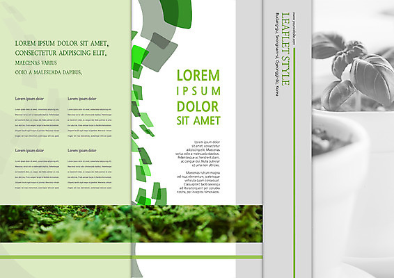 PSD 템플릿 표지디자인 북디자인 출판디자인 내지 화분 리플렛 북커버 3단접지 자연 팜플렛 사람없음 자연보호 그린캠페인 허브 이미지템플릿 식물 캠페인 보호 생태계 파일형식