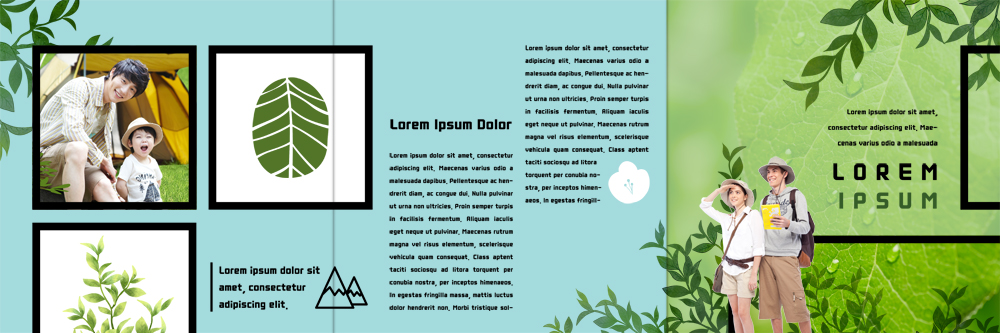 PSD 서양인 템플릿 표지디자인 북디자인 출판디자인 여자 남자 내지 어린이 리플렛 여행 북커버 3단접지 나뭇잎 팜플렛 여러명 20대 성인 캠핑 한국인 이미지템플릿 외국인 다수 잎 레저 사람 동양인 청년 파일형식