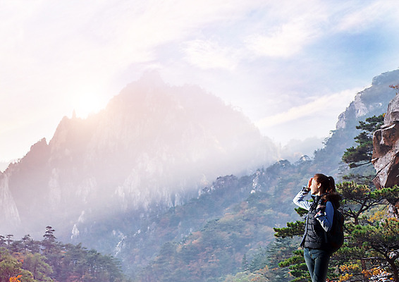 PSD 나무 구름 편집 편집이미지 응시 여자 여행 배낭 하늘 산 한명 상반신 20대 성인 옆모습 햇빛 등산 한국인 안식처 이미지편집 자연요소 식물 1 시선 뷰포인트 가방 휴식 사람 동양인 청년 태양 트래킹 파일형식