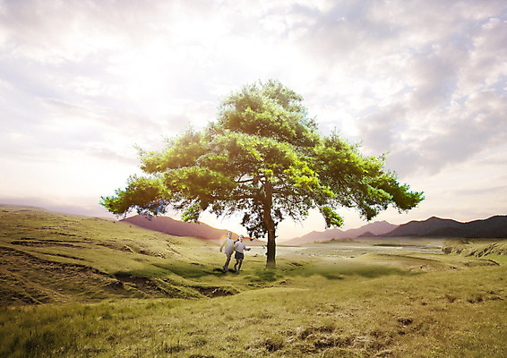 PSD 나무 구름 편집 편집이미지 여자 어린이 하늘 산 초원 두명 달리기 한국인 이미지편집 자연요소 식물 모션 사람 동양인 파일형식