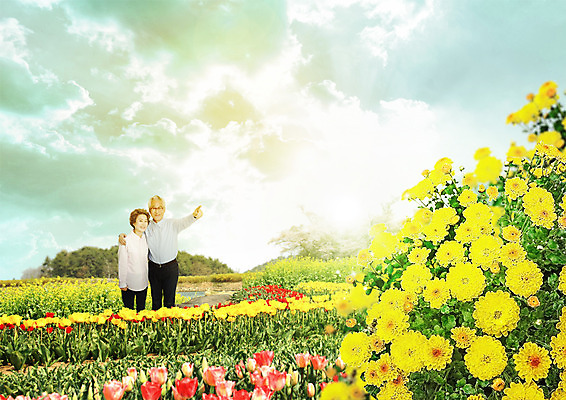PSD 구름 편집 편집이미지 여자 노년 남자 꽃밭 하늘 상반신 성인 두명 노부부 봄 한국인 튤립 가리킴 이미지편집 자연요소 부부 계절 꽃 사람 동양인 손짓 파일형식