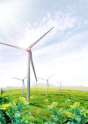 PSD 구름 편집 편집이미지 자연 하늘 나뭇잎 초원 사람없음 자연보호 환경 그린캠페인 그린에너지 풍력에너지 이미지편집 자연요소 캠페인 잎 에너지 보호 생태계 파일형식