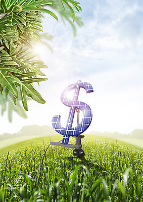 PSD 구름 편집 편집이미지 자연 하늘 나뭇잎 초원 사람없음 자연보호 환경 달러 그린캠페인 그린에너지 태양에너지 집열판 이미지편집 자연요소 캠페인 잎 돈 에너지 보호 생태계 파일형식