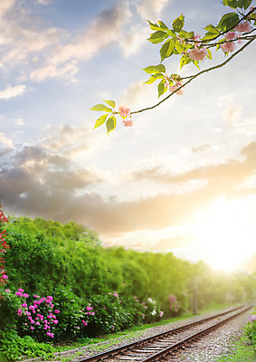 PSD 구름 편집 편집이미지 꽃 자연 하늘 나뭇잎 사람없음 노을 봄 기찻길 나뭇가지 철도의날 이미지편집 자연요소 나무 식물 계절 잎 생태계 파일형식 법정기념일