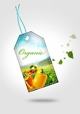 PSD 구름 편집 편집이미지 하늘 피망 나뭇잎 사람없음 라벨 유기농 이미지편집 자연요소 웰빙 잎 채소 프레임 파일형식