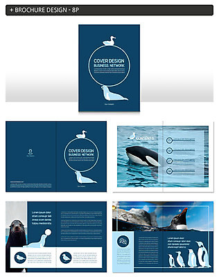 템플릿 ZIP 여러마리 오리 팜플렛 사람없음 물개 고래 펭귄 인디자인 INDD 이미지템플릿 다수 포유류 조류 바다동물 수중동물 파일형식