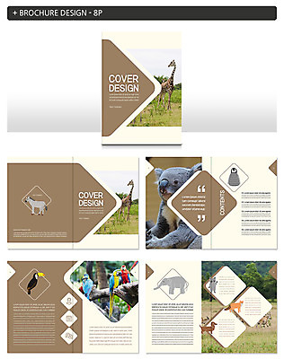 템플릿 ZIP 여러마리 팜플렛 사람없음 닥스훈트 기린 펭귄 앵무새 여우 얼룩말 너구리 코알라 인디자인 INDD 이미지템플릿 다수 포유류 조류 말_동물 개 파일형식
