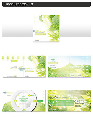 템플릿 접시 ZIP 채소 팜플렛 사람없음 브로콜리 인디자인 INDD 이미지템플릿 식기 파일형식