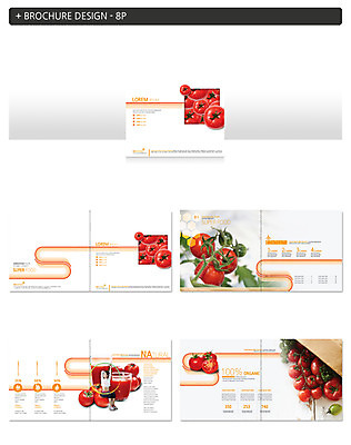 템플릿 여자 ZIP 토마토 방울토마토 한명 팜플렛 20대 성인 한국인 성인여자한명만 인디자인 INDD 이미지템플릿 1 채소 사람 동양인 청년 여자한명만 성인여자만 파일형식