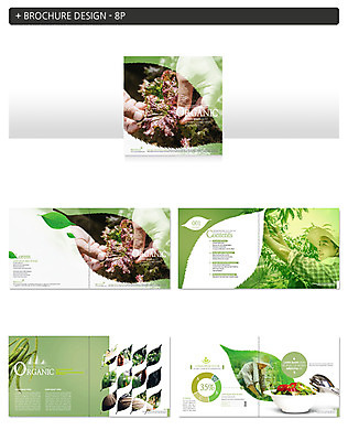 템플릿 손 남자 ZIP 40대 중년 채소 팜플렛 두명 신체부위 한국인 농부 상추 중년남자만 인디자인 INDD 이미지템플릿 직업 사람 동양인 성인 남자만 중년만 파일형식