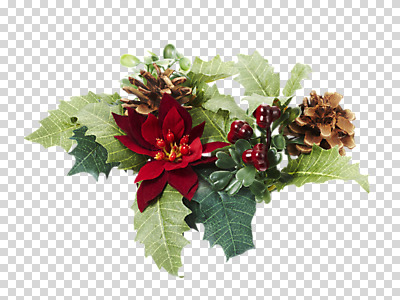 편집이미지 꽃 크리스마스 나뭇잎 사람없음 장식 오브젝트 솔방울 PNG 편집소스 식물 기념일 잎 파일형식
