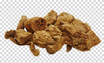 편집이미지 재료 사람없음 한의학 한약재 한약 건강식품 PNG 둥글레 편집소스 음식 의학 건강 약 약재 파일형식