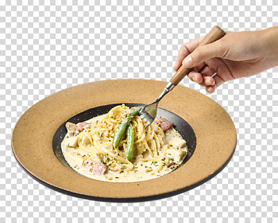 편집이미지 그릇 손 음식 포크 서양음식 스파게티 한명 신체부위 PNG 까르보나라 편집소스 1 식기 파스타 사람 파일형식