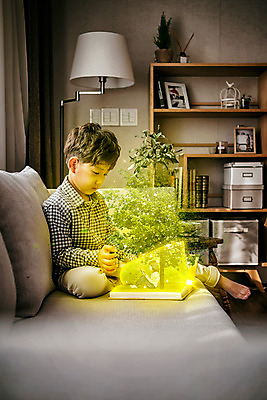 JPG 전신 나무 편집이미지 어린이 상상 동화 실내 한명 앉기 옆모습 그래픽 책 소파 독서 한국인 디지털합성 홀로그램 디지털아트 소년한명만 편집실사 식물 1 뷰포인트 의자 모션 사람 동양인 내부 CG 남자한명만 소년만 파일형식