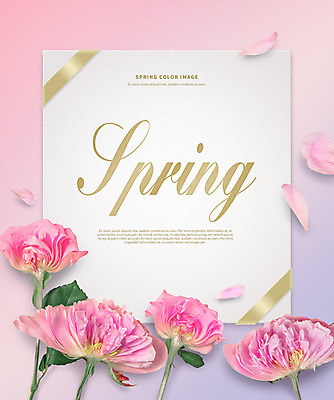 PSD 템플릿 편집이미지 꽃잎 꽃 포스터 분홍색 프레임 사람없음 봄 초대장 이미지편집 식물 계절 컬러 카드_감사 파일형식
