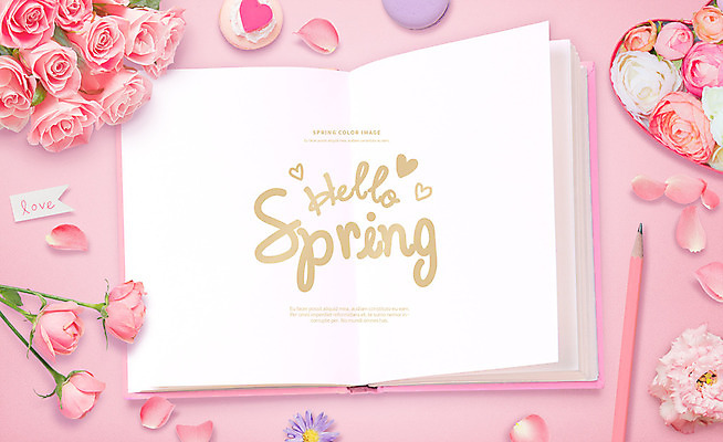 PSD 템플릿 편집이미지 포스터 분홍색 프레임 사람없음 책 연필 장미 봄 마카롱 이미지편집 계절 꽃 컬러 학용품 디저트 필기구 파일형식