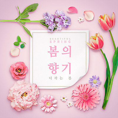 PSD 템플릿 편집이미지 꽃잎 꽃 포스터 분홍색 프레임 사람없음 봄 향기 봄향기 이미지편집 식물 계절 컬러 냄새 파일형식