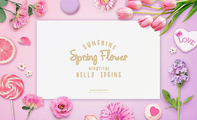 PSD 템플릿 편집이미지 꽃 포스터 분홍색 프레임 막대사탕 사람없음 봄 튤립 엽서 마카롱 이미지편집 식물 계절 컬러 디저트 사탕 편지 파일형식