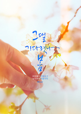 PSD 편집이미지 손 포스터 캘리그라피 신체부위 봄 벚꽃 이미지편집 계절 꽃 사람 파일형식