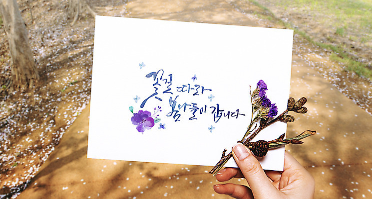 PSD 편집이미지 손 손글씨 포스터 캘리그라피 수채화 들기 신체부위 봄 엽서 드라이플라워 봄소풍 이미지편집 계절 꽃 모션 사람 소풍 편지 파일형식