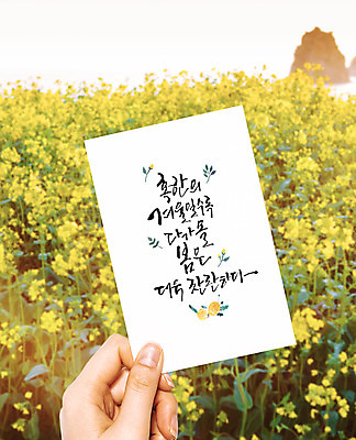 PSD 편집이미지 손 손글씨 꽃 포스터 캘리그라피 수채화 들기 신체부위 봄 유채 엽서 이미지편집 식물 계절 모션 사람 편지 파일형식