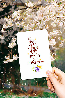 PSD 편집이미지 손 손글씨 포스터 캘리그라피 수채화 들기 신체부위 봄 벚꽃 엽서 이미지편집 계절 꽃 모션 사람 편지 파일형식