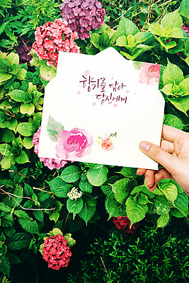 PSD 편집이미지 손 손글씨 꽃 포스터 캘리그라피 수채화 들기 신체부위 봄 향기 엽서 수국 이미지편집 식물 계절 모션 사람 편지 냄새 파일형식