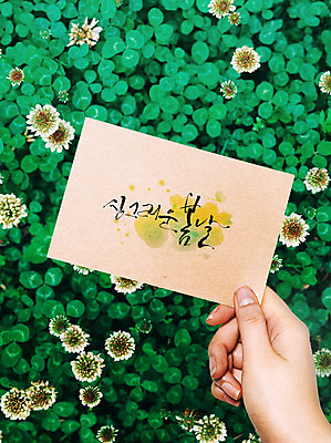 PSD 편집이미지 손 손글씨 꽃 포스터 캘리그라피 수채화 들기 신체부위 봄 엽서 토끼풀꽃 이미지편집 식물 계절 모션 사람 토끼풀 편지 파일형식