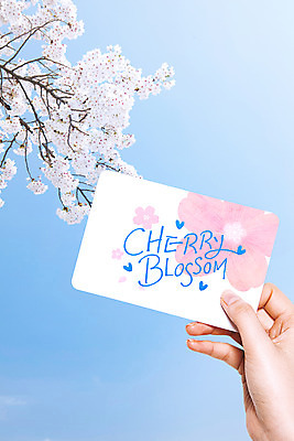 PSD 편집이미지 손 손글씨 포스터 캘리그라피 하늘 수채화 들기 신체부위 봄 벚꽃 엽서 이미지편집 계절 꽃 모션 사람 편지 파일형식