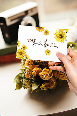 PSD 편집이미지 손 손글씨 포스터 캘리그라피 수채화 들기 신체부위 봄 엽서 드라이플라워 이미지편집 계절 꽃 모션 사람 편지 파일형식