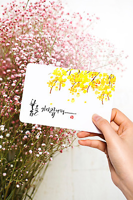 PSD 편집이미지 손 손글씨 포스터 캘리그라피 수채화 들기 신체부위 봄 기다림 엽서 안개꽃 이미지편집 계절 꽃 모션 사람 편지 한해살이풀 파일형식