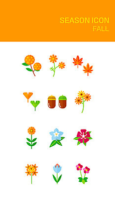 아이콘 꽃 단풍 사람없음 세트 가을 플랫 플랫아이콘 은행잎 도토리 2D아이콘 AI파일 식물 계절 잎 견과류 파일형식 벡터