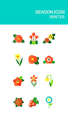 아이콘 꽃 겨울 사람없음 세트 플랫 플랫아이콘 동백 포인세티아 모란 2D아이콘 AI파일 식물 계절 파일형식 벡터