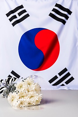 포토 JPG 스튜디오촬영 문화 한국 국화 사람없음 국기 태극기 삼일절 애도 희생 애국심 광복절 국내포토 꽃 아시아 실내 공휴일 국경일 파일형식