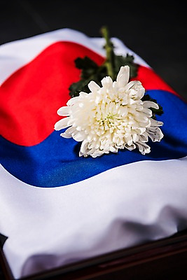 포토 JPG 스튜디오촬영 문화 한국 국화 사람없음 국기 태극기 삼일절 애도 희생 애국심 광복절 국내포토 꽃 아시아 실내 공휴일 국경일 파일형식