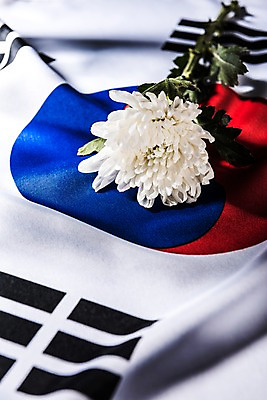 포토 JPG 스튜디오촬영 문화 한국 국화 사람없음 국기 태극기 삼일절 애도 희생 애국심 광복절 국내포토 꽃 아시아 실내 공휴일 국경일 파일형식