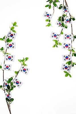 포토 JPG 스튜디오촬영 나무 문화 나뭇잎 한국 누끼 사람없음 국기 태극기 삼일절 애국심 광복절 국내포토 식물 아시아 잎 실내 공휴일 국경일 파일형식