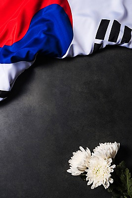 포토 JPG 스튜디오촬영 문화 프레임 한국 국화 사람없음 국기 태극기 삼일절 애도 희생 애국심 광복절 국내포토 꽃 아시아 실내 공휴일 국경일 파일형식