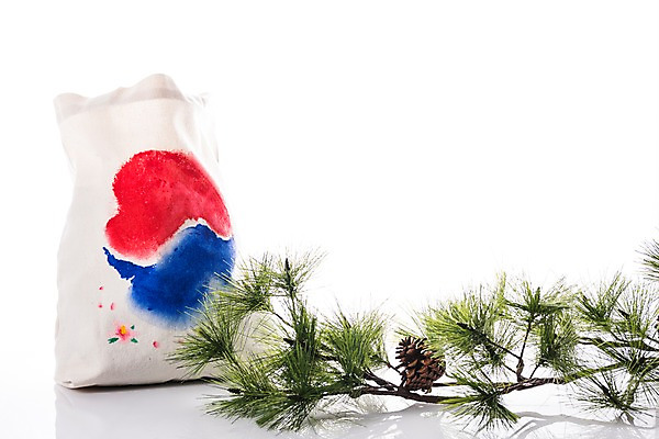 포토 JPG 스튜디오촬영 문화 한국 누끼 사람없음 소나무 태극기 삼일절 보따리 태극 애국심 광복절 국내포토 나무 문양 아시아 실내 공휴일 국기 국경일 파일형식