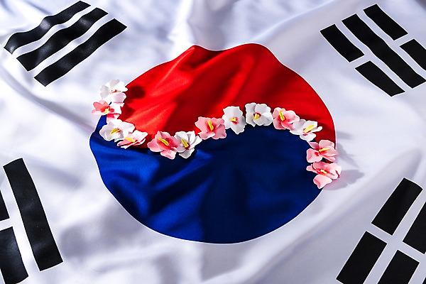 포토 JPG 스튜디오촬영 문화 한국 사람없음 국기 태극기 삼일절 무궁화 색종이 애국심 광복절 국내포토 꽃 아시아 종이 실내 공휴일 국경일 파일형식