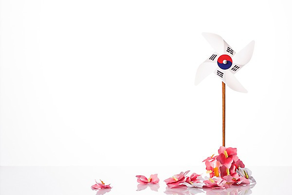 포토 JPG 스튜디오촬영 문화 한국 누끼 사람없음 태극기 삼일절 바람개비 무궁화 색종이 애국심 광복절 국내포토 꽃 아시아 종이 실내 공휴일 국기 국경일 파일형식