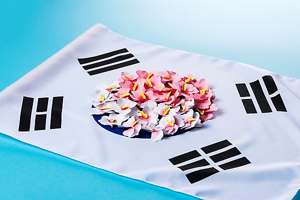 포토 JPG 스튜디오촬영 문화 한국 사람없음 국기 태극기 삼일절 무궁화 색종이 애국심 광복절 국내포토 꽃 아시아 종이 실내 공휴일 국경일 파일형식