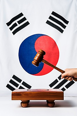 포토 JPG 스튜디오촬영 손 문화 한국 신체부위 국기 태극기 법 의사봉 애국심 제헌절 국내포토 아시아 실내 사람 국경일 파일형식