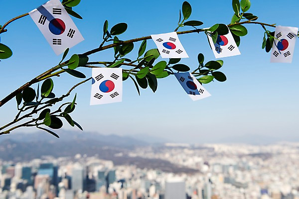 포토 JPG 주간 문화 나뭇잎 서울 한국 사람없음 야외 아웃포커스 나뭇가지 도시 국기 태극기 삼일절 애국심 광복절 국내포토 자연요소 나무 아시아 잎 촬영기법 공휴일 국경일 파일형식