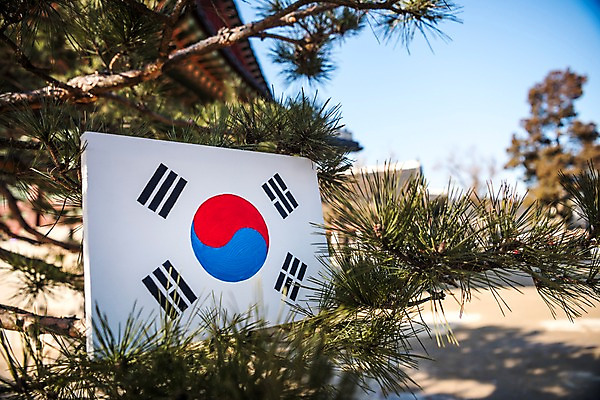 포토 JPG 주간 문화 한국 사람없음 야외 궁전 소나무 국기 태극기 삼일절 그림 경복궁 애국심 광복절 국내포토 자연요소 나무 아시아 고건축 공휴일 국경일 파일형식