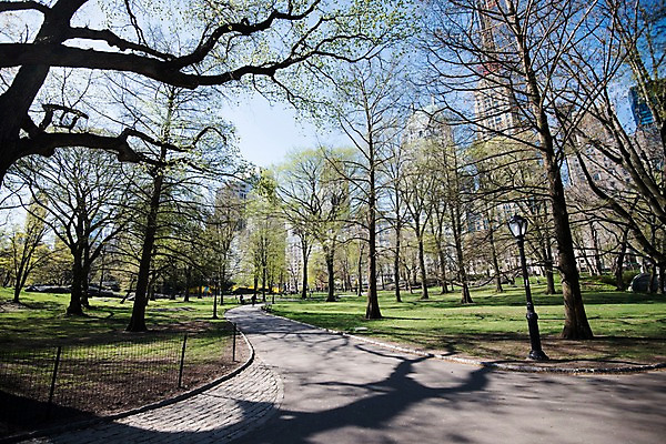 포토 JPG 주간 나무 공원 길 풍경 잔디 사람없음 야외 건물 미국 봄 도시 뉴욕 센트럴파크 국내포토 자연요소 식물 건축물 계절 공공시설 북아메리카 파일형식