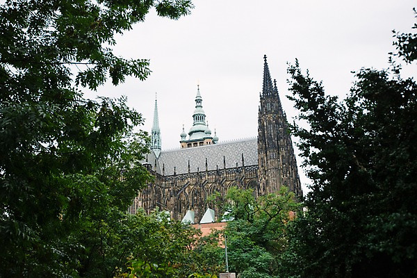 포토 JPG 주간 나무 유럽 여행 풍경 사람없음 야외 숲 체코 프라하 프라하성 국내포토 자연요소 식물 나라 성 파일형식